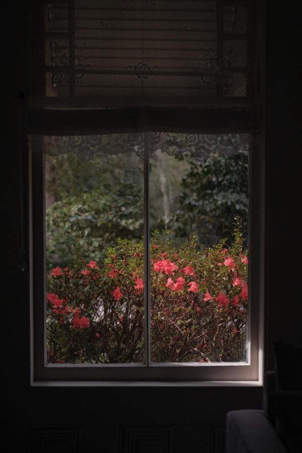 The Avera-Clarke House มอนติเชลโล ภายนอก รูปภาพ